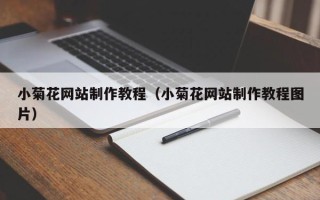 海东小菊花网站制作教程（小菊花网站制作教程图片）