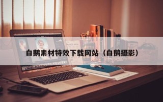 海东白鹅素材特效下载网站（白鹅摄影）